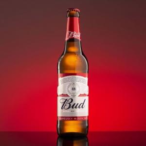 BUD - 50CL | 235,00